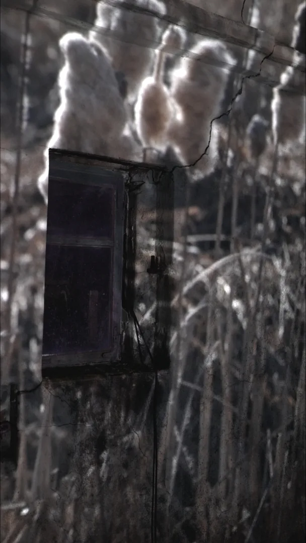 Projection Mapping — production 3
