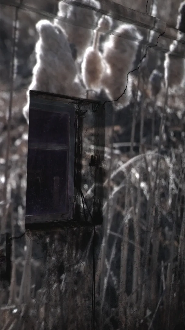Window projection — Rural Mapping