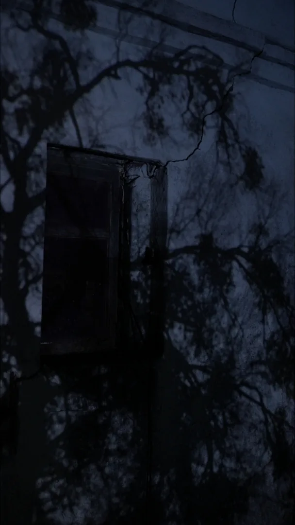 Window projection — Rural Mapping