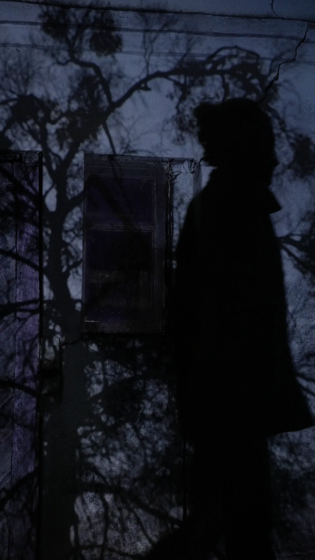 footage captured on location, turned into a pattern for the rural structures
